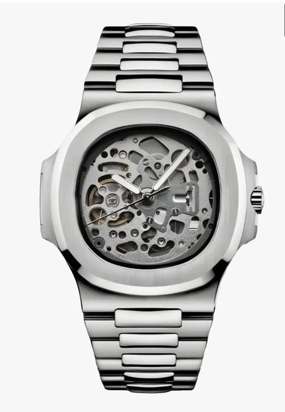 Nautilus Shell
