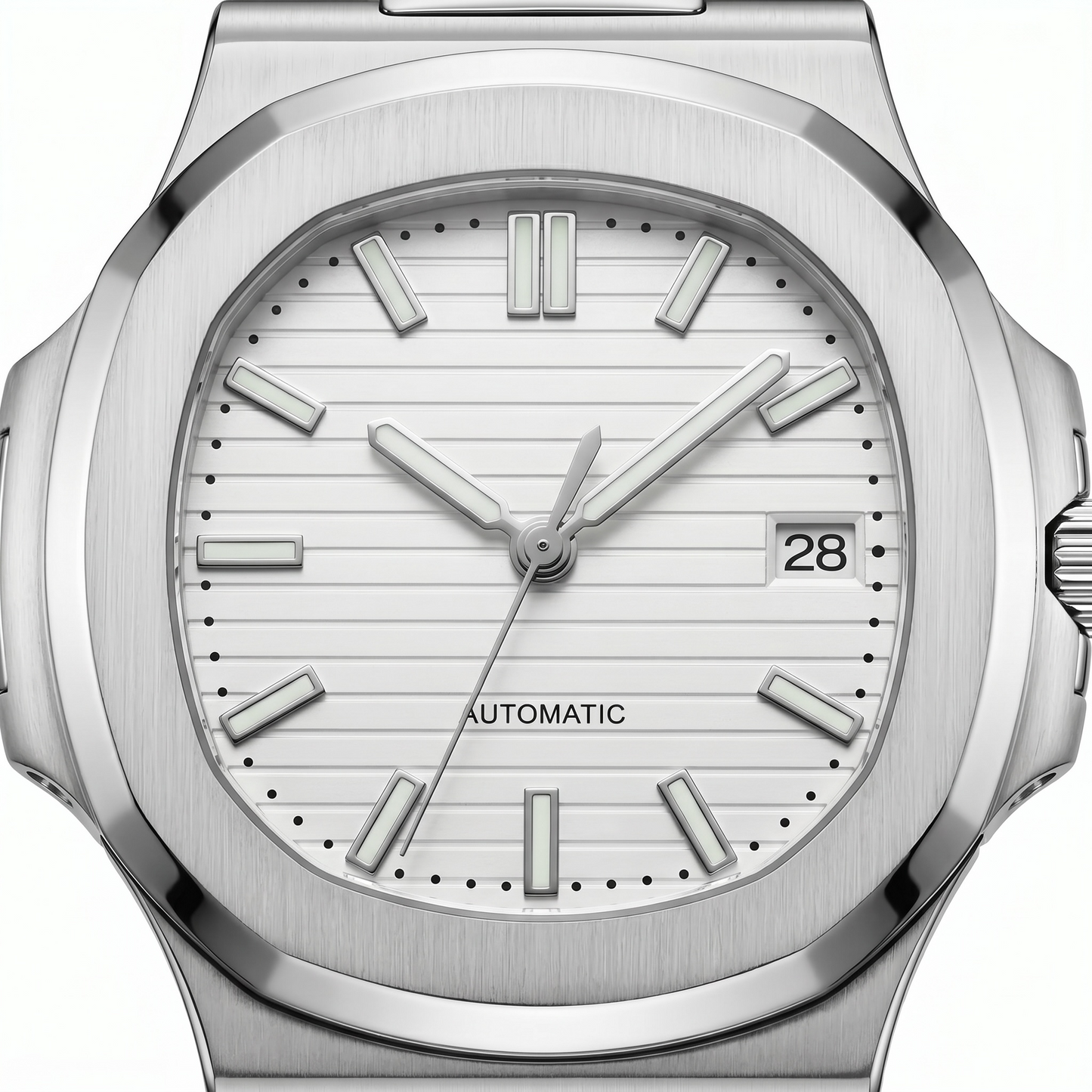 Nautilus White
